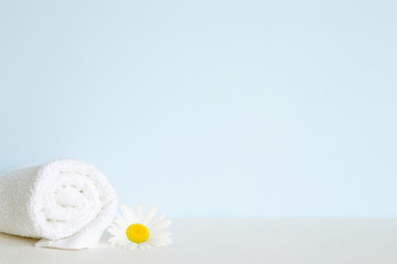Obraz na płótnie Canvas Fluffy, clean white towel roll on shelf in bathroom. Beautiful camomile or daisy. Fresh flower. Empty place for text on pastel blue wall. Spa still life.