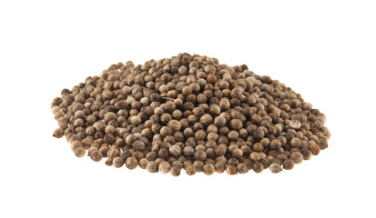 coriander isolated on white background