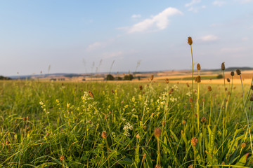 Felder an einem Sommerabend in Hessen