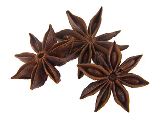 star anise spice isolated on white background