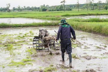 plows machine - Farmer using walking tractor plowing in rice field to prepare the area to grow rice.