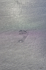 footprints on the wet sand on the beach