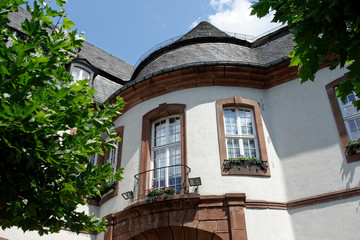 Street photography. Architecture and nature.