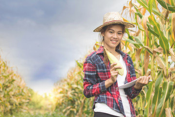 A beautiful young farmer holds a check on corn yield.Agricultural concept.