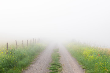 Country road leading into fog