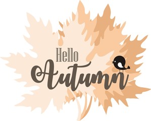 Hand drawn of Hello Autumn
