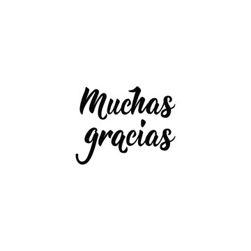 text in Spanish: Thank you very much. calligraphy vector illustration. muchas gracias