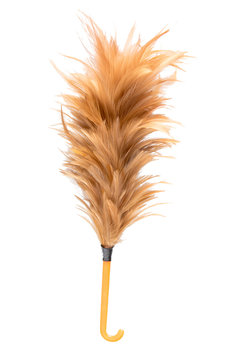 Feather Duster Isolated On White Background.