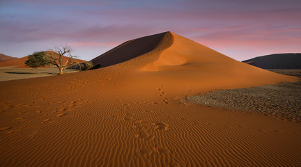 red Sand dune namibian desert sunset