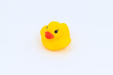 duck toy on white background
