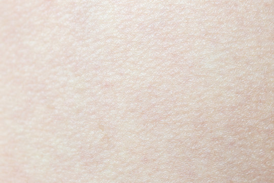 Pattern of human skin with cells and lines texture.