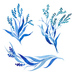 Watercolor hand drawn decor elements isolated on the white background. Blue branches with leaves for your designs.