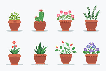 Room Plants Collection in Pot Vector Illustration