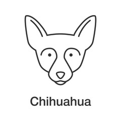 Chihuahua linear icon