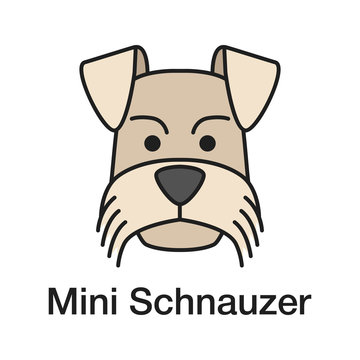 Miniature Schnauzer color icon