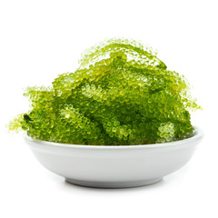 Oval sea grapes seaweed, Close up Green Caviar isolated on white background