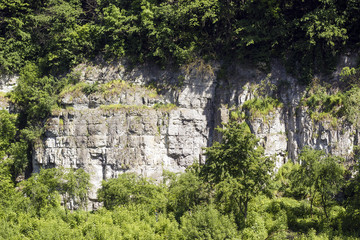 Wall of canyon among trees