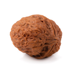 Dry Walnut isolated on a white background