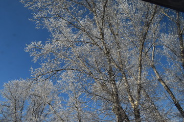 Зимние мотивы