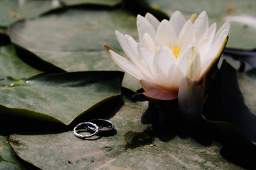 wedding rings on a lotus flower leaf