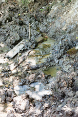 mudpot spring in Shapsugskaya zone