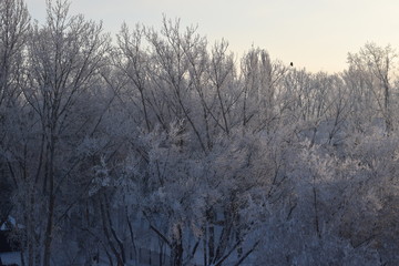 Зимние мотивы