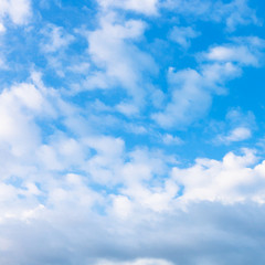 many white puffy clouds in blue evening sky