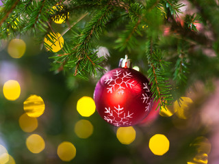 one red ball on christmas tree twig indoor