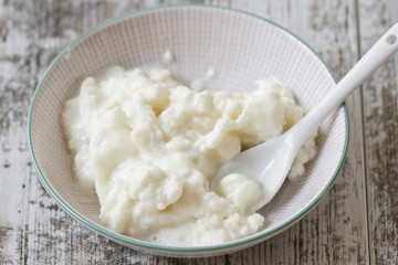 Kefir fungus