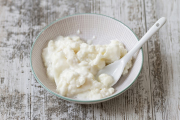 Kefir fungus