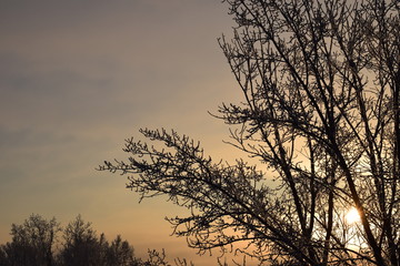 Зимнее утро