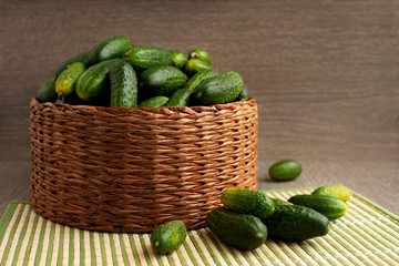 A lot of cucumbers in the basket. Harvest of cucumbers in a wicker basket on a bamboo napkin. Vegetables on a wooden background are collected in the garden.