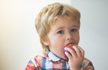 Apple as a snack. Fruit for children. Healthy eating. Autumn harvest. A little cute boy bites an apple. Delicious food for the preschooler. Portrait of a beautiful child with an appetite