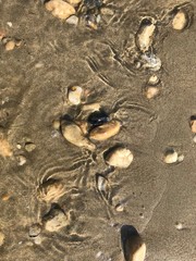 Rocks on the sand on the beach