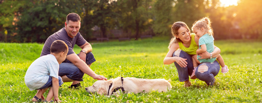 happy family is having fun with golden retriever - family playing with dog in park.