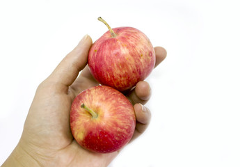 Two red apples in hand on a white background isolated