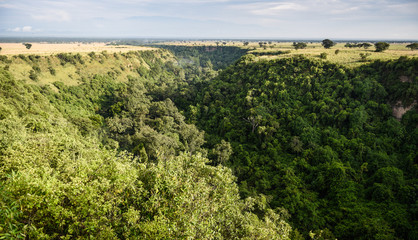 Fototapeta na wymiar One kilometer long and 100 meters deep Kyambura Gorge in the Queen Elizabeth National Park that is a home for chimanzees, Uganda