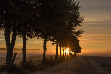 Sonnenaufgang auf dem Land
