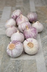 garlic close up