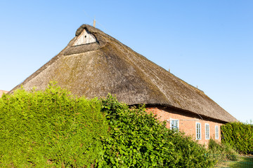 Thatched cottage and plot in northern Germany