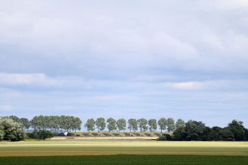 Obraz premium idyllic landscape in summer in northern Germany