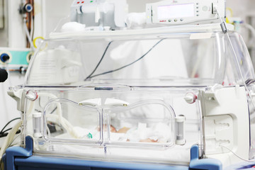 Newborn Care in the Hospital © Nenov Brothers