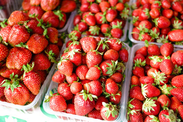 Strawberry. Fresh berries . Fruit background