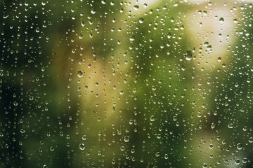 Green freshness after the rain. The texture of the drops on the glass.