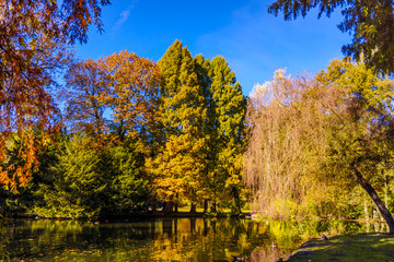 Obraz premium Wonderful Landscape. Colorful Autumn scene