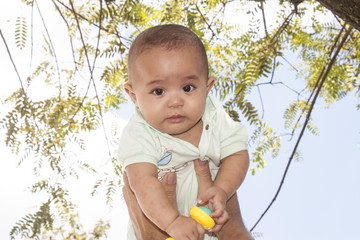 Kenji bebês