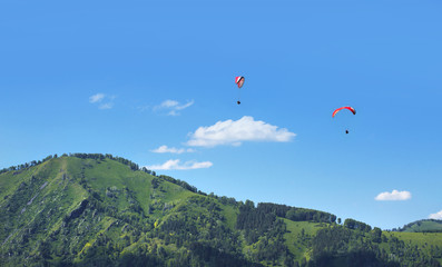 paraglider