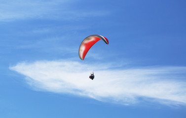 paraglider