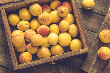 Ripe apricots in a wooden box. 