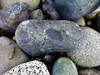 Fototapeta na wymiar A variety of volcanic cobble stones on the beach in the Pacific Northwest